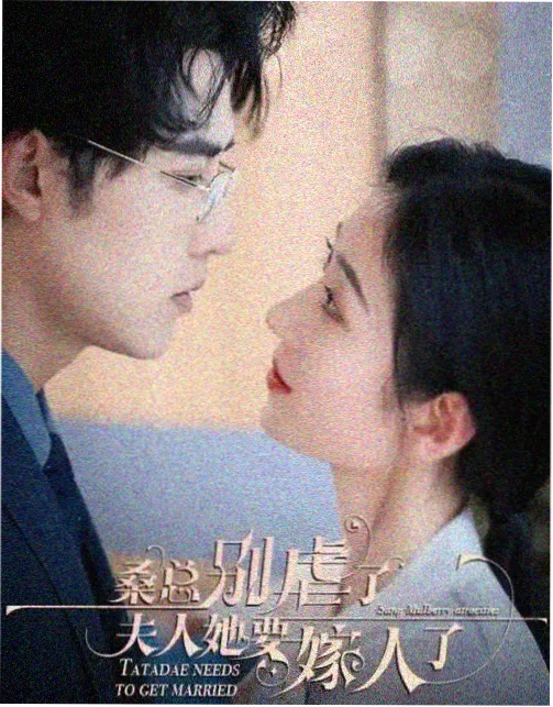 北纬三十度剧集封面